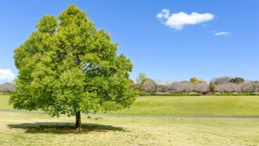 ちょっと休憩！
