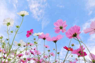 “メメント・モリ”──死を意識することで、人生がもっと輝く