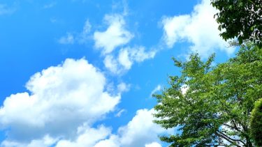 仕事を辞めたあとの“空白の時間”をどう埋める？